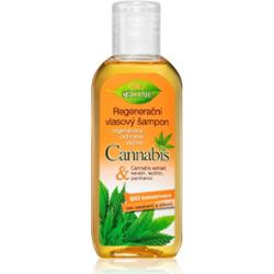 Bione Cosmetics Cannabis szampon regenerujący 80 ml