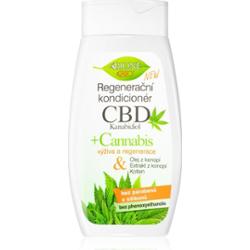 Bione Cosmetics Cannabis CBD odżywka regenerująca do włosów 260 ml
