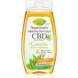 Bione Cosmetics Cannabis CBD szampon regenerujący z CBD 260 ml