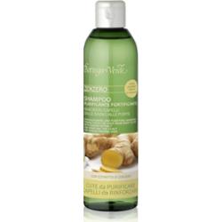 Bottega Verde Zenzero szampon oczyszczający do wzmocnienia włosów 250 ml