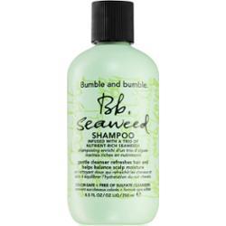 Bumble and bumble Seaweed Shampoo szampon do włosów kręconych z wyciągami z alg morskich 250 ml