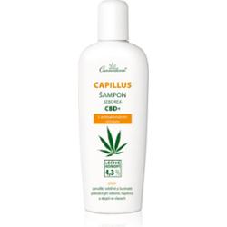 Cannaderm Capillus Seborea CBD+ Shampoo szampon przeciw łupieżowi 150 ml