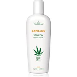 Cannaderm Capillus Anti-Dandruff Shampoo szampon przeciwłupieżowy z olejkiem konopnym 150 ml