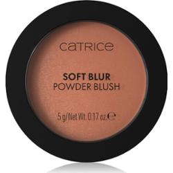 Catrice Soft Blur Powder Brush pudrowy róż z matowym wykończeniem odcień 050 Born to blonze 5 g