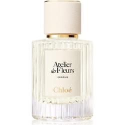 Chloé Atelier des Fleurs Cedrus woda perfumowana dla kobiet 50 ml