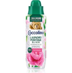 Coccolino First Bloom zapach do tkanin 460 ml