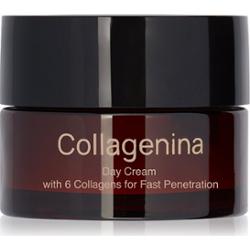 Collagenina Grade 2 Day Cream ujędrniający krem na dzień z kolagenem 50 ml