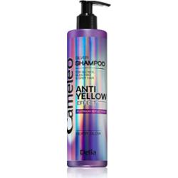 Delia Cosmetics Cameleo Silver szampon neutralizująca żółtawe odcienie 250 ml