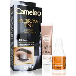 Delia Cosmetics Cameleo kremowa profesjonalna farbka do brwi bez amoniaku odcień 1.0 Black 15 ml