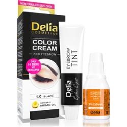 Delia Cosmetics Argan Oil farbka do brwi odcień 1.0 Black 15 ml