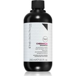 Diego dalla Palma Rebuilding And Repairing Shampoo szampon rewitalizujący 250 ml