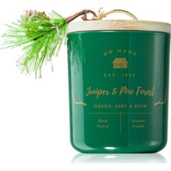 DW Home Farmhouse Juniper & Pine Forest świeczka zapachowa 445 g