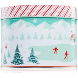 DW Home Scene & Stripes Cinnamon Gum Drops świeczka zapachowa 833 g