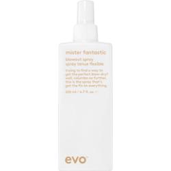 EVO Mister Fantastic Blowout Spray ochronny spray pszyśpieszający suszenie włosów 200 ml