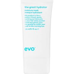 EVO Hydrate The Great Hydrator maseczka nawilżająca nadający blask włosom suchym i łamliwym 150 ml