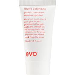 EVO Mane Attention Protein Treatment intensywna maseczka o wysokiej zawartości protein 30 ml