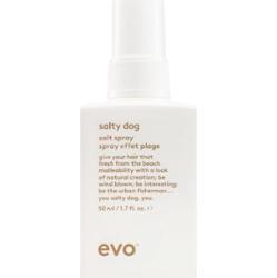 EVO Salty Dog Salt Spray słony spray dla efektu plażowego 50 ml