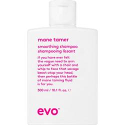 EVO Smooth Smoothing Shampoo szampon wygładzający do włosów nieposłusznych i puszących się 300 ml