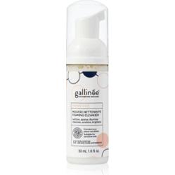 Gallinée SKIN CARE Foaming Facial Cleanser delikatna pianka oczyszczająca do twarzy 50 ml
