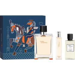 HERMÈS Terre d’Hermès Gift Set Eau de Toilette zestaw upominkowy dla mężczyzn