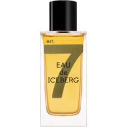 Iceberg Eau de Iceberg Amber woda toaletowa dla mężczyzn 100 ml