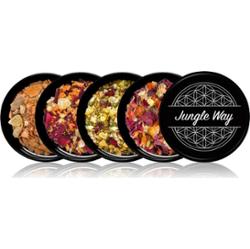 Jungle Way Discovery set Boost Your Life kominek zapachowy