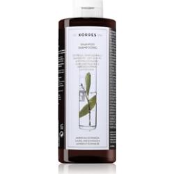 Korres Laurel & Echinacea szampon przeciwłupieżowy do skóry suchej 400 ml