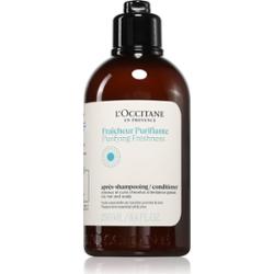 L’Occitane Purifying Freshness Conditioner odżywka oczyszczająca do włosów normalnych i przetłuszczających się 250 ml