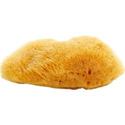 Magnum Natural karaibska gąbka morska 10- 12 cm