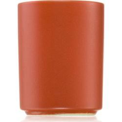 Milkhouse Candle Co. Earth & Ember Golden Pumpkin świeczka zapachowa 57 g