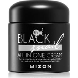 Mizon Black Snail All in One krem do twarzy z ekstraktem ze śluzu z ślimaka 90% 75 ml