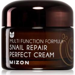 Mizon Multi Function Formula Snail krem do twarzy z ekstraktem ze śluzu z ślimaka 60% 50 ml
