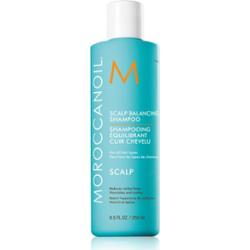 Moroccanoil Scalp Balancing Shampoo kojący szampon do włosów przetłuszczających się przeciw łupieżowi 250 ml