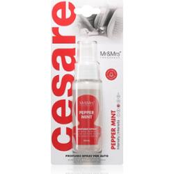 Mr & Mrs Fragrance Cesare Peppermint odświeżacz powietrza do auta 50 ml