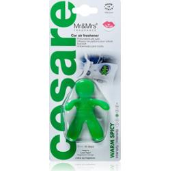 Mr & Mrs Fragrance Cesare Warm Spicy zapach do samochodu 1 szt.