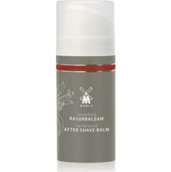 Mühle Aftershave Balm balsam po goleniu dla mężczyzn Sandalwood 100 ml
