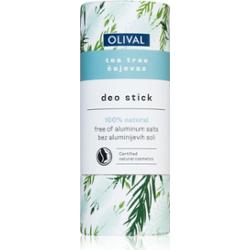 Olival Natural Tea Tree dezodorant w sztyfcie bez dodatku soli aluminium 40 g