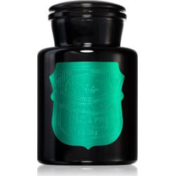 Paddywax Apothecary Noir Tabac & Pine świeczka zapachowa 226 g