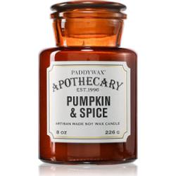 Paddywax Apothecary Pumpkin Spice świeczka zapachowa 226 g