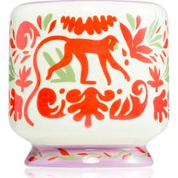 Paddywax A Dopo Jungle świeczka zapachowa 226 g