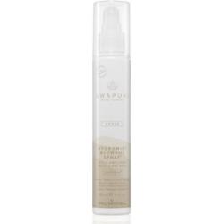 Paul Mitchell Awapuhi Wild Ginger HydroMist Blowout Spray spray utrwalający dla doskonałej objętości 150 ml