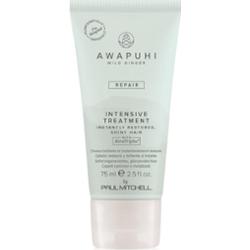 Paul Mitchell Awapuhi Wild Ginger Repair Intevsive Treatment intensywna kuracja do włosów do włosów zniszczonych 75 ml