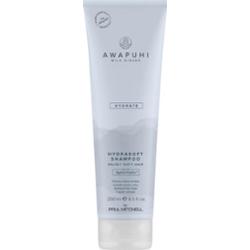 Paul Mitchell Awapuhi Wild Ginger HydraSoft Shampoo szampon nawilżający 250 ml