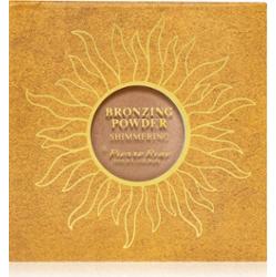 Pierre René Professional Shimmering puder kompaktowy brązujący 7,5 g