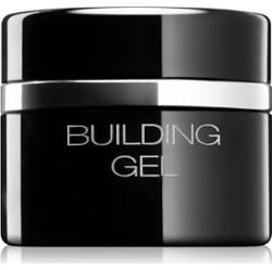 Pierre René Nails Hybrid żel modelujący do paznokci 10 ml