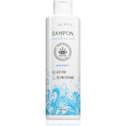 Regina Sea Salt szampon przeciwłupieżowy z solą morską 250 ml