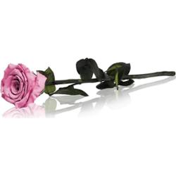 RoseAmor Pink stabilizowana róża na łodydze 30 cm 1 szt.