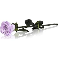 RoseAmor Lila stabilizowana róża na łodydze 30 cm 1 szt.