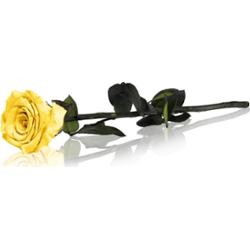 RoseAmor Yellow stabilizowana róża na łodydze 30 cm 1 szt.