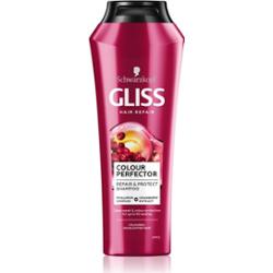 Schwarzkopf Gliss Color Perfector szampon ochronny do włosów farbowanych 250 ml